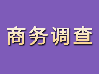 雷波商务调查